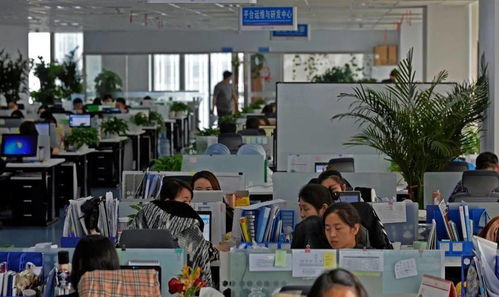 經開區重點服務業增速持續加快 以信息技術咨詢服務為引擎