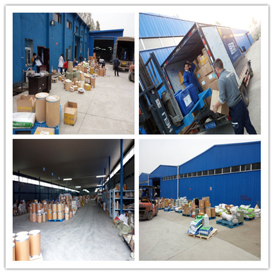 非那雄胺原料藥處理服務的重要性與實踐